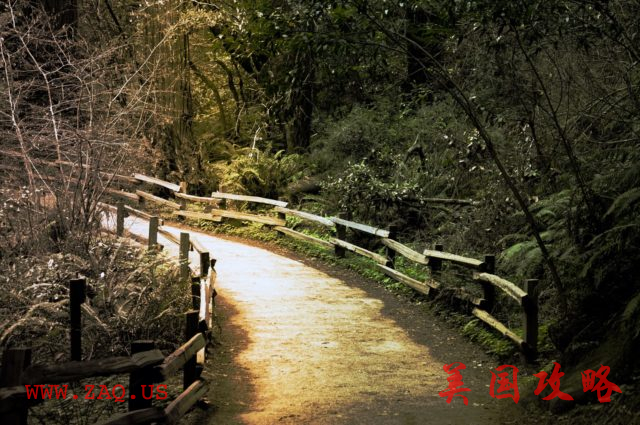 https://pixabay.com/en/walking-path-nature-outdoors-1079940/