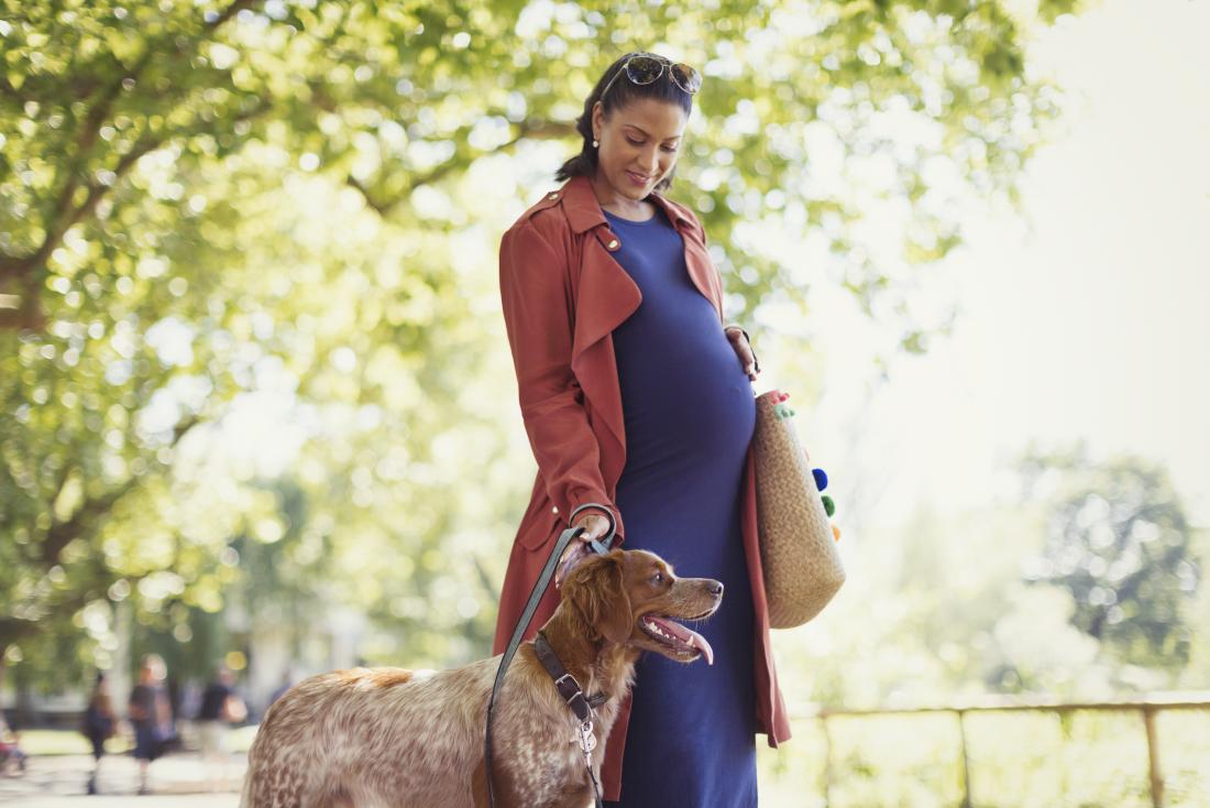 怀孕期间养宠物的注意事项