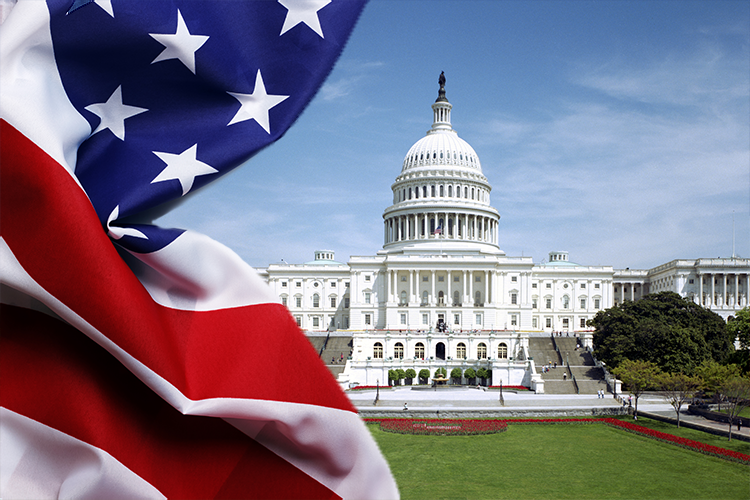 Government & Politics | Capitol