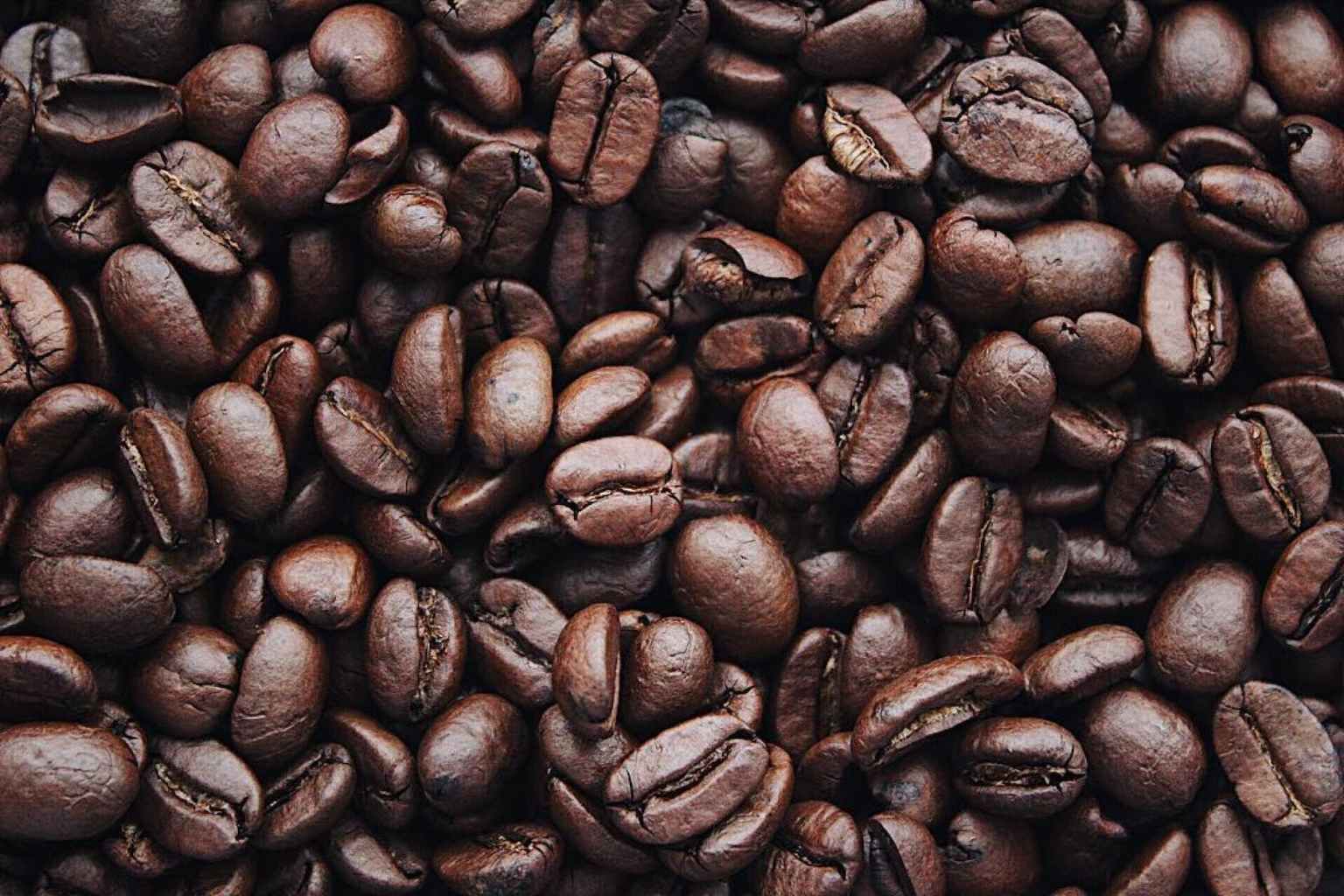 适合意式浓缩 Espresso 和拿铁、卡布奇诺的咖啡豆推荐